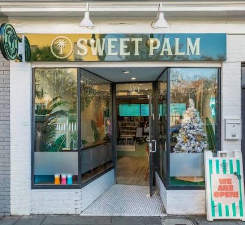 Brunch and coffee at Sweet Palm Coffee & Food on King Street in Charleston, SC